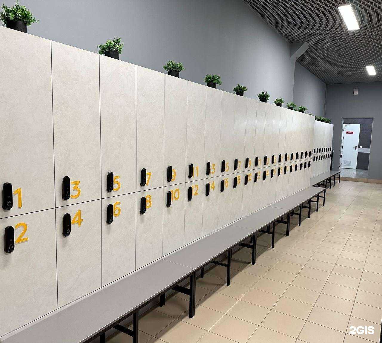 Отзывы на компанию Gym Station в Кирове c фото