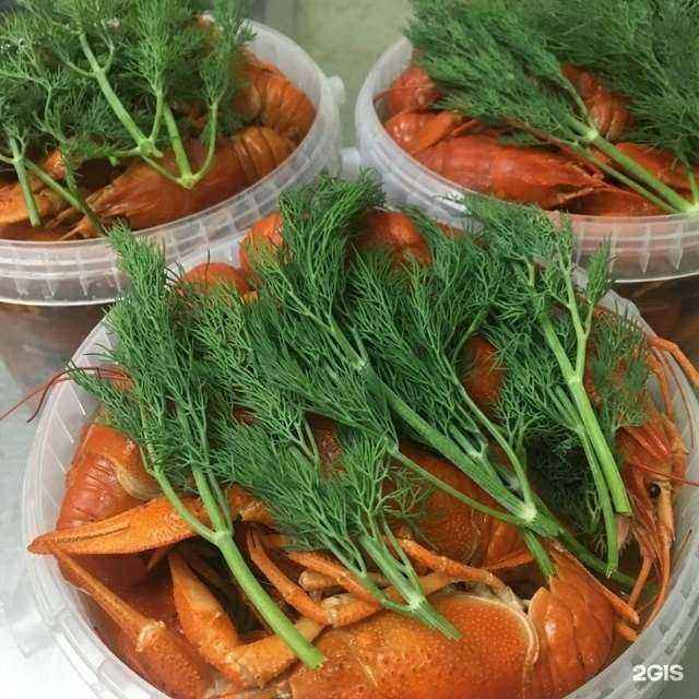 Отзывы на компанию Раки163 в Тольятти c фото