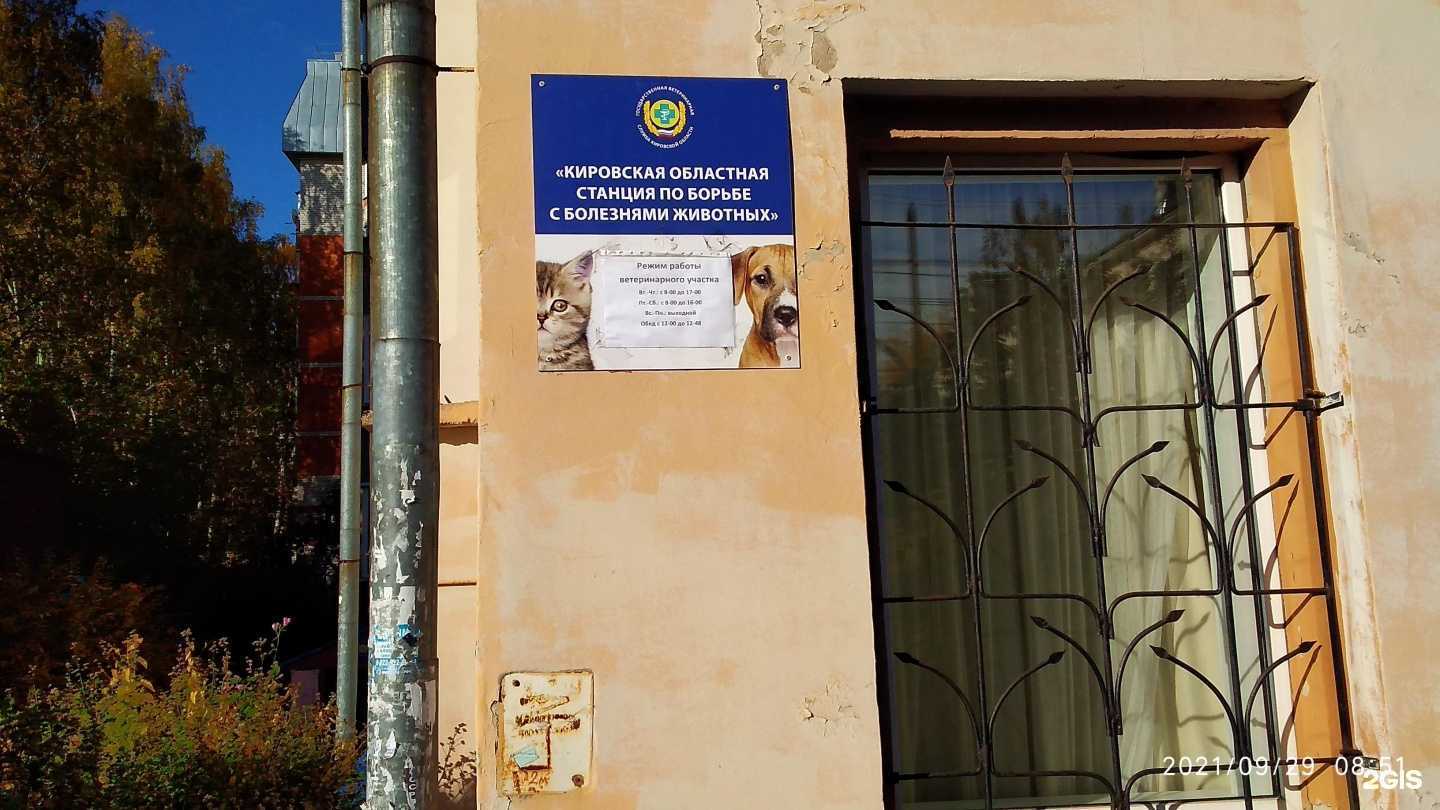 Отзывы на компанию Ветеринарная клиника в Кирове c фото