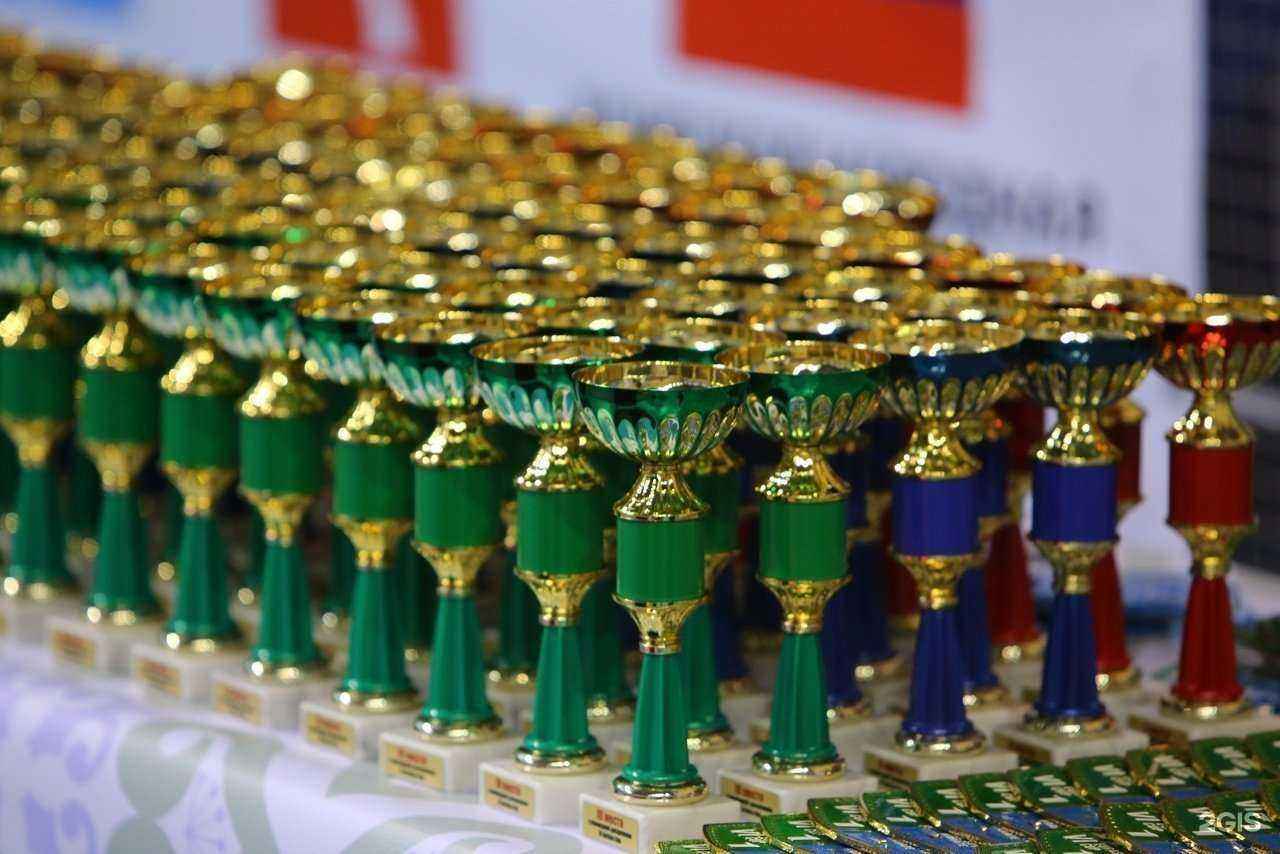 Отзывы на компанию Поволжская академия боевых искусств в Тольятти c фото