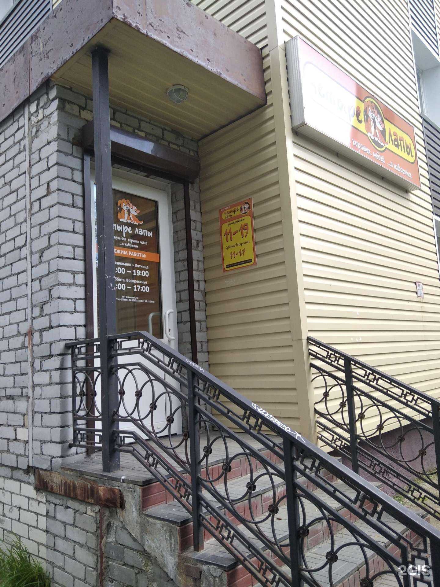 Отзывы на компанию Четыре лапы в г. Апатиты c фото