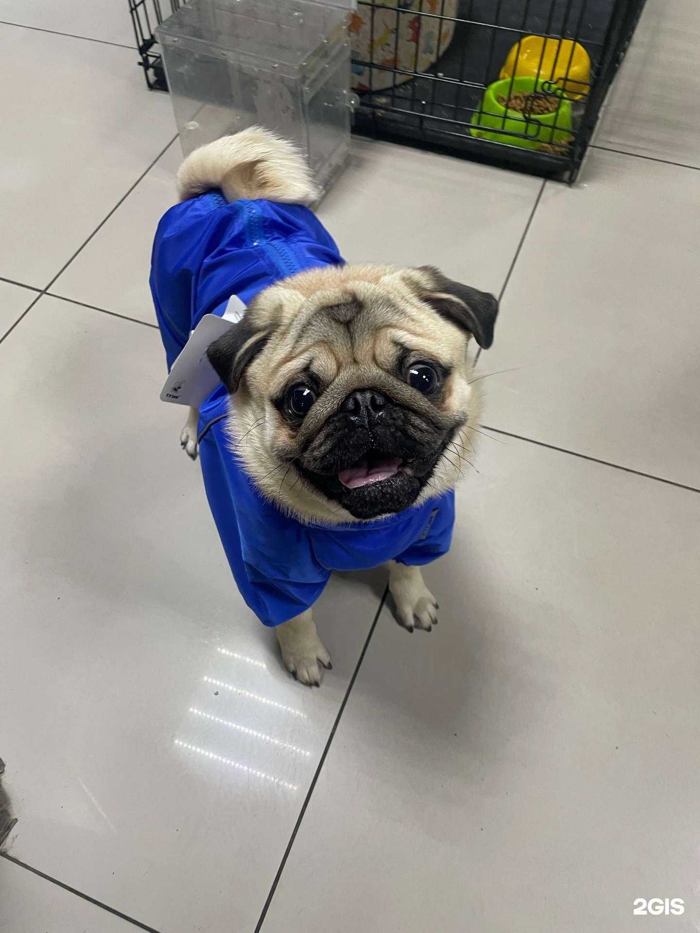 Отзывы на компанию Тотошка в г. Брянск c фото