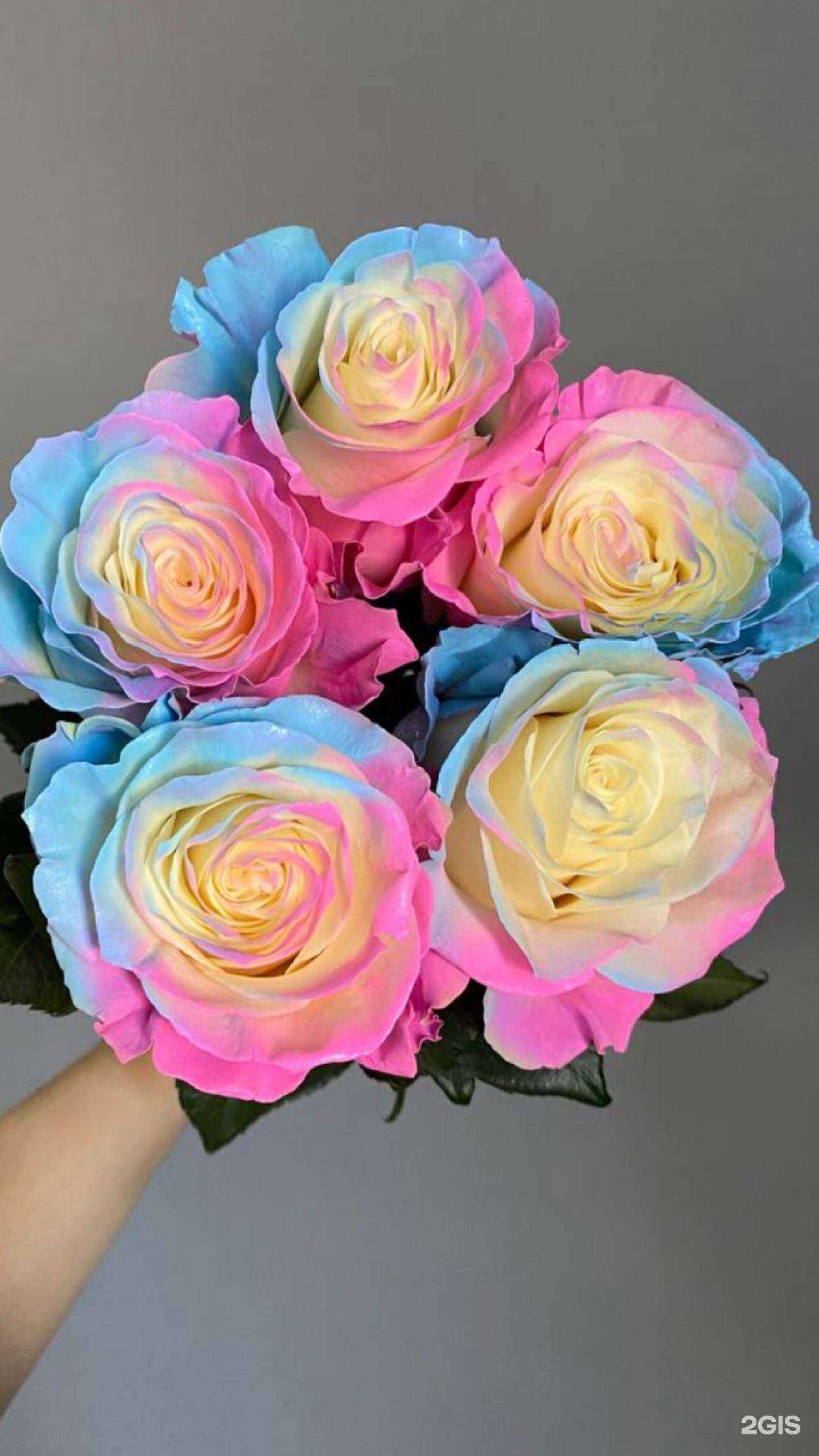 Отзывы на компанию O.H.R.A в г. Красноярск c фото