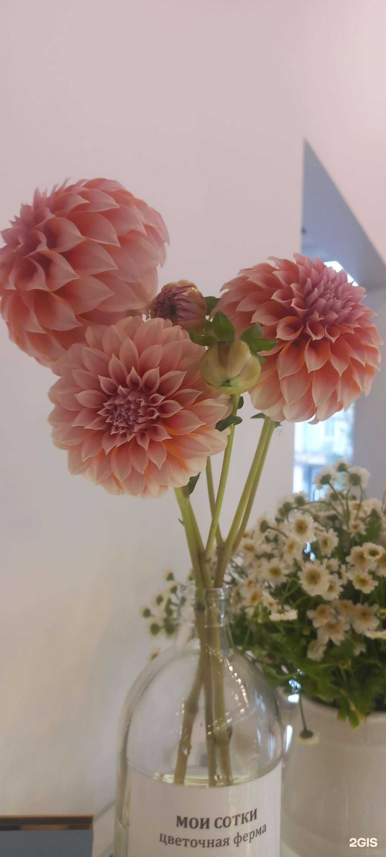 Отзывы на компанию Мои сотки в Уссурийске c фото