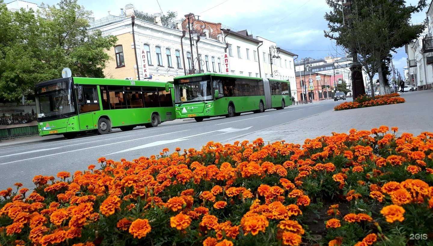 Отзывы на компанию Аптека №1 в Тюмени c фото - фотография 2 из 2