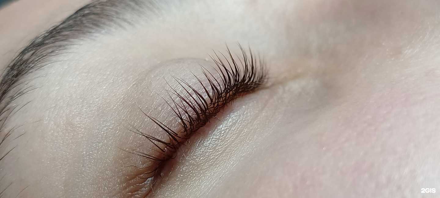 Отзывы на компанию Lash&brow by Teslya в г. Красноярск c фото