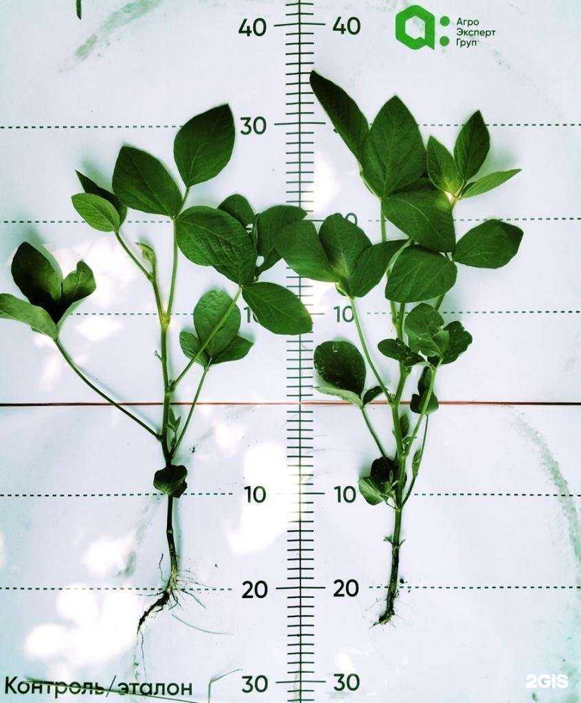 Отзывы на компанию Агро эксперт груп в г. Рязань c фото