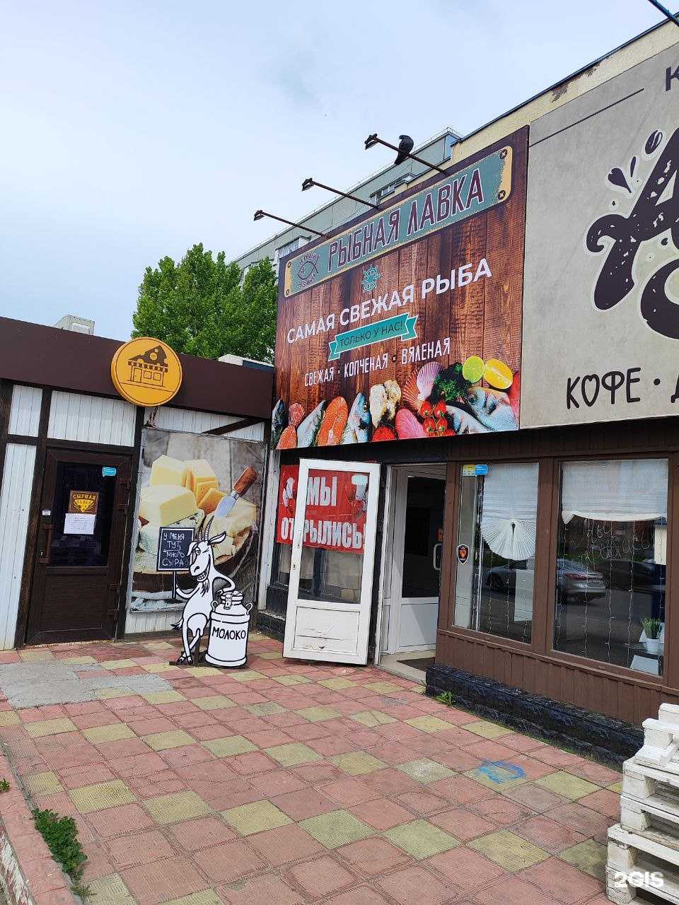 Отзывы на компанию Рыбная лавка в Тольятти c фото