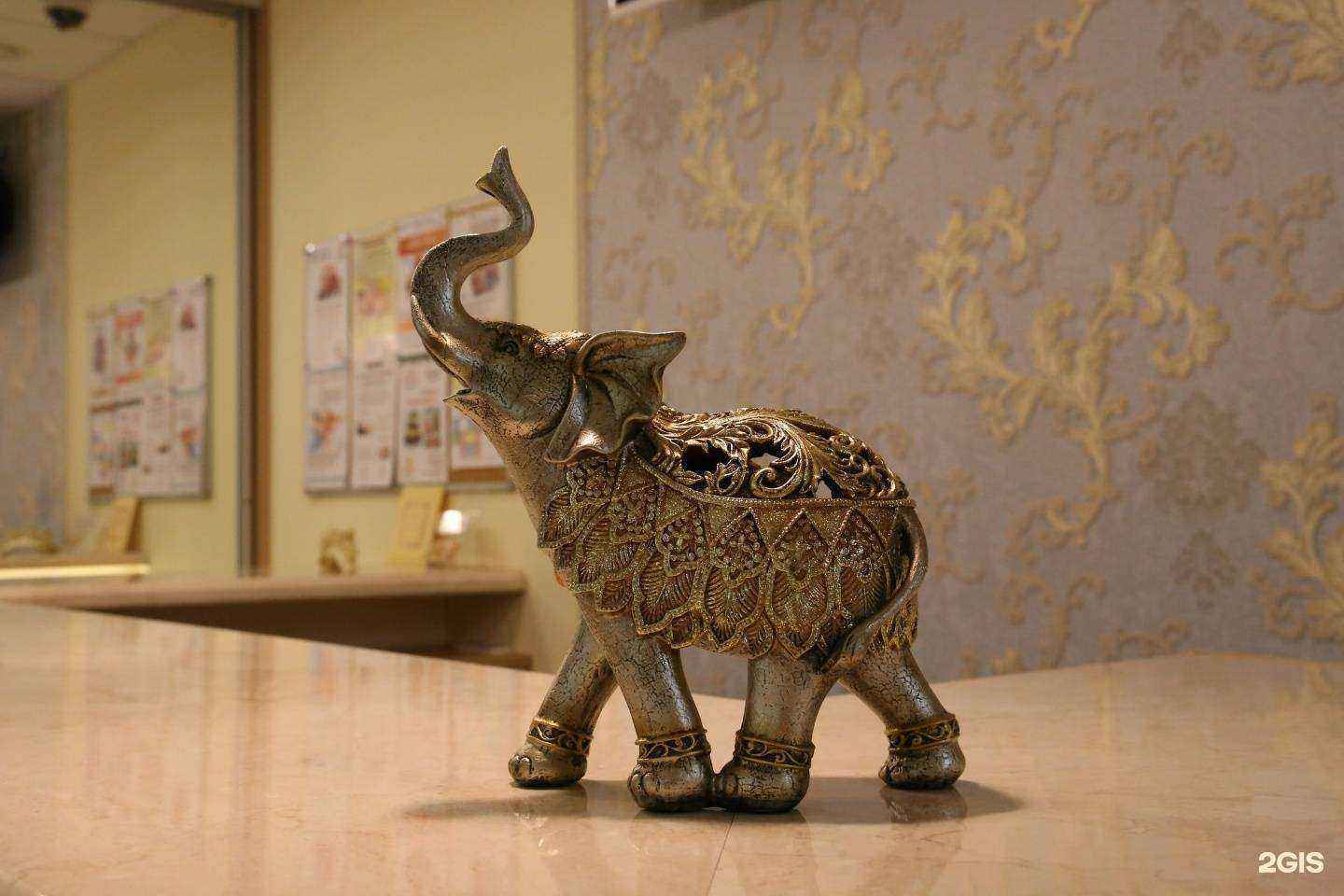 Отзывы на компанию Саттвика в г. Новосибирск c фото