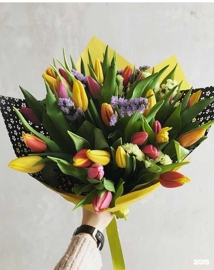 Отзывы на компанию Прованс в Тюмени c фото