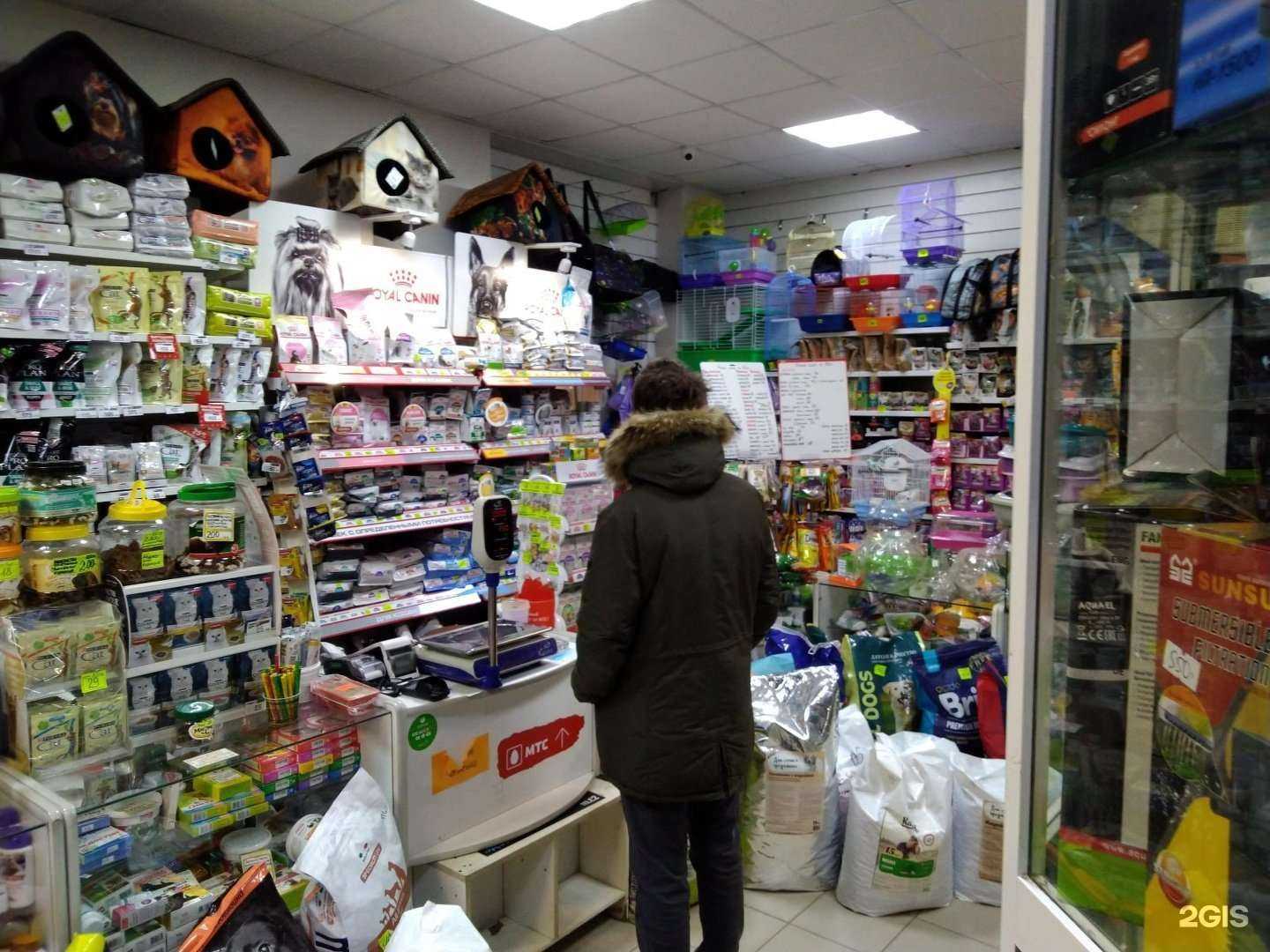 Отзывы на компанию Кот и пес в г. Краснокамск c фото