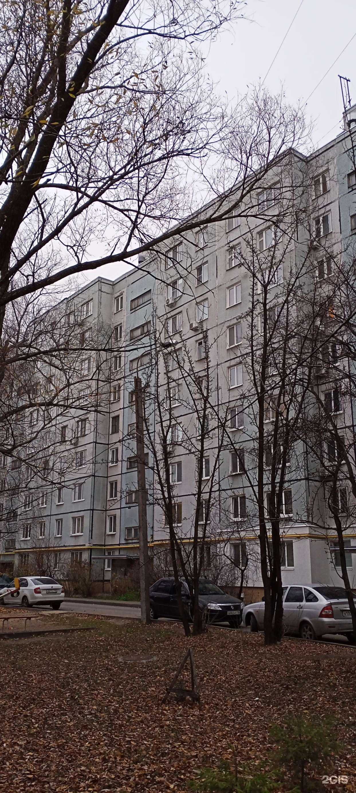 Отзывы на компанию Каталея в Казани c фото - фотография 2 из 2