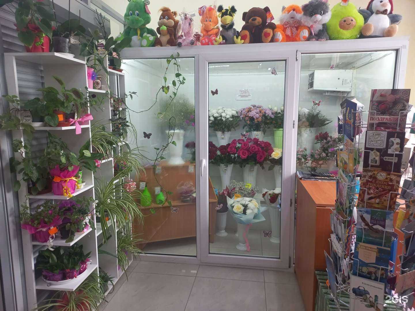 Отзывы на компанию Маков цвет в г. Чита c фото