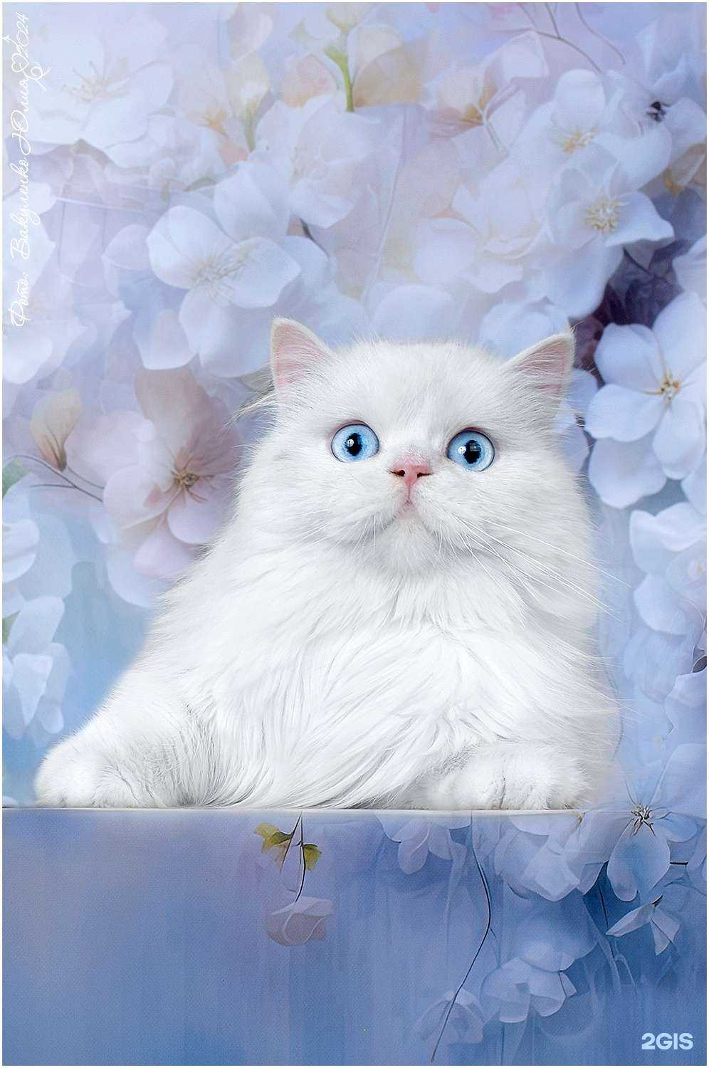 Отзывы на компанию Солнышко в г. Геленджик c фото