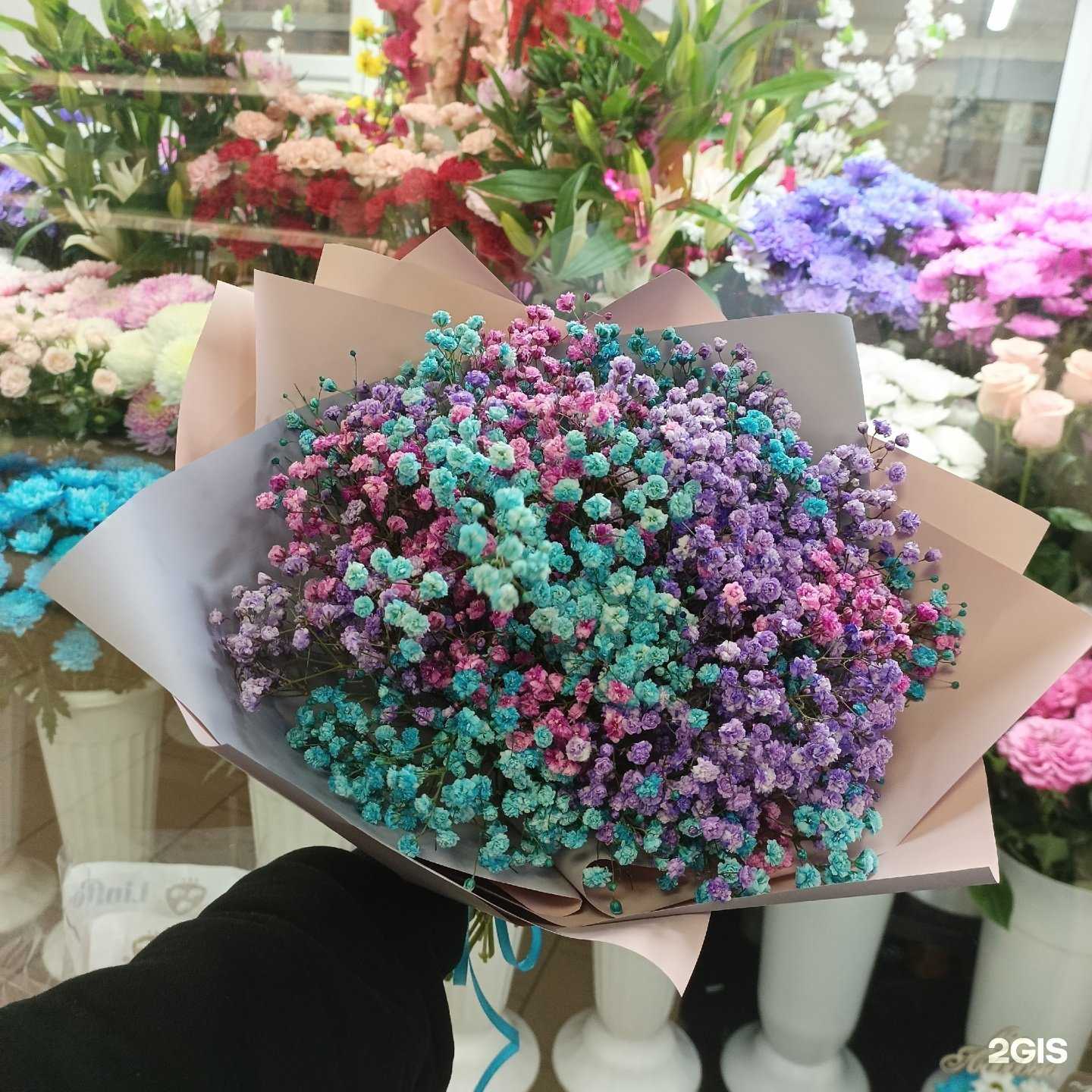 Отзывы на компанию Натали в Сыктывкаре c фото