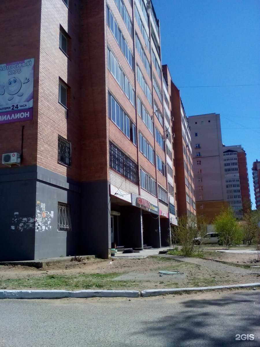 Отзывы на компанию Пушистый рай в Чите c фото - фотография 2 из 2