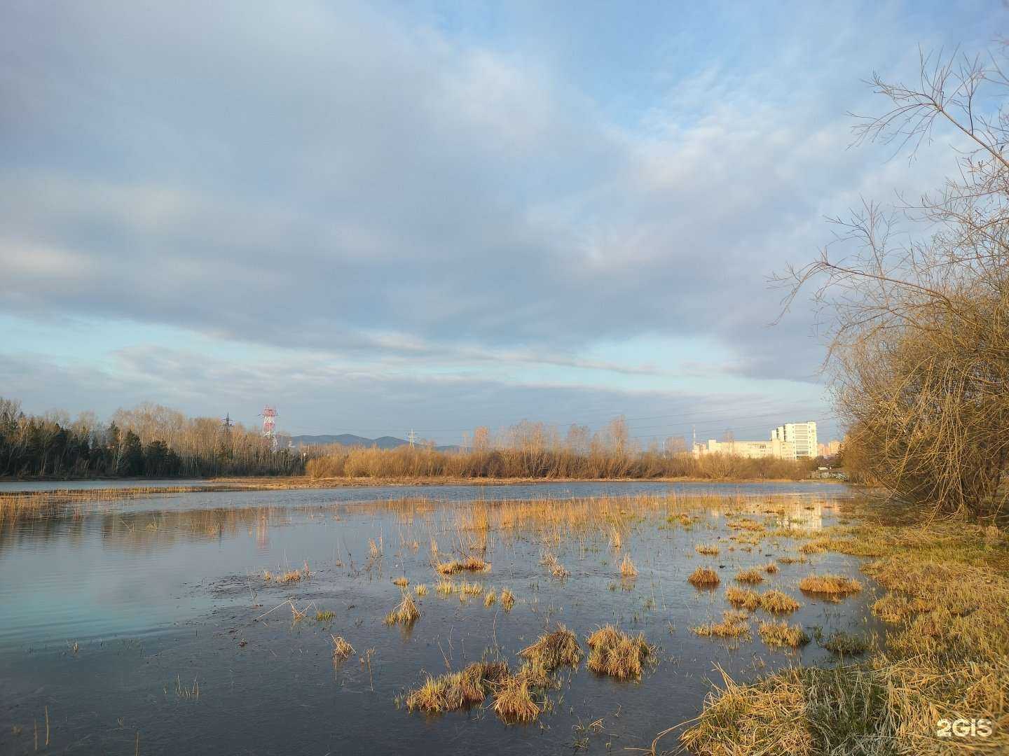 Отзывы на компанию 4eza4e в г. Красноярск c фото