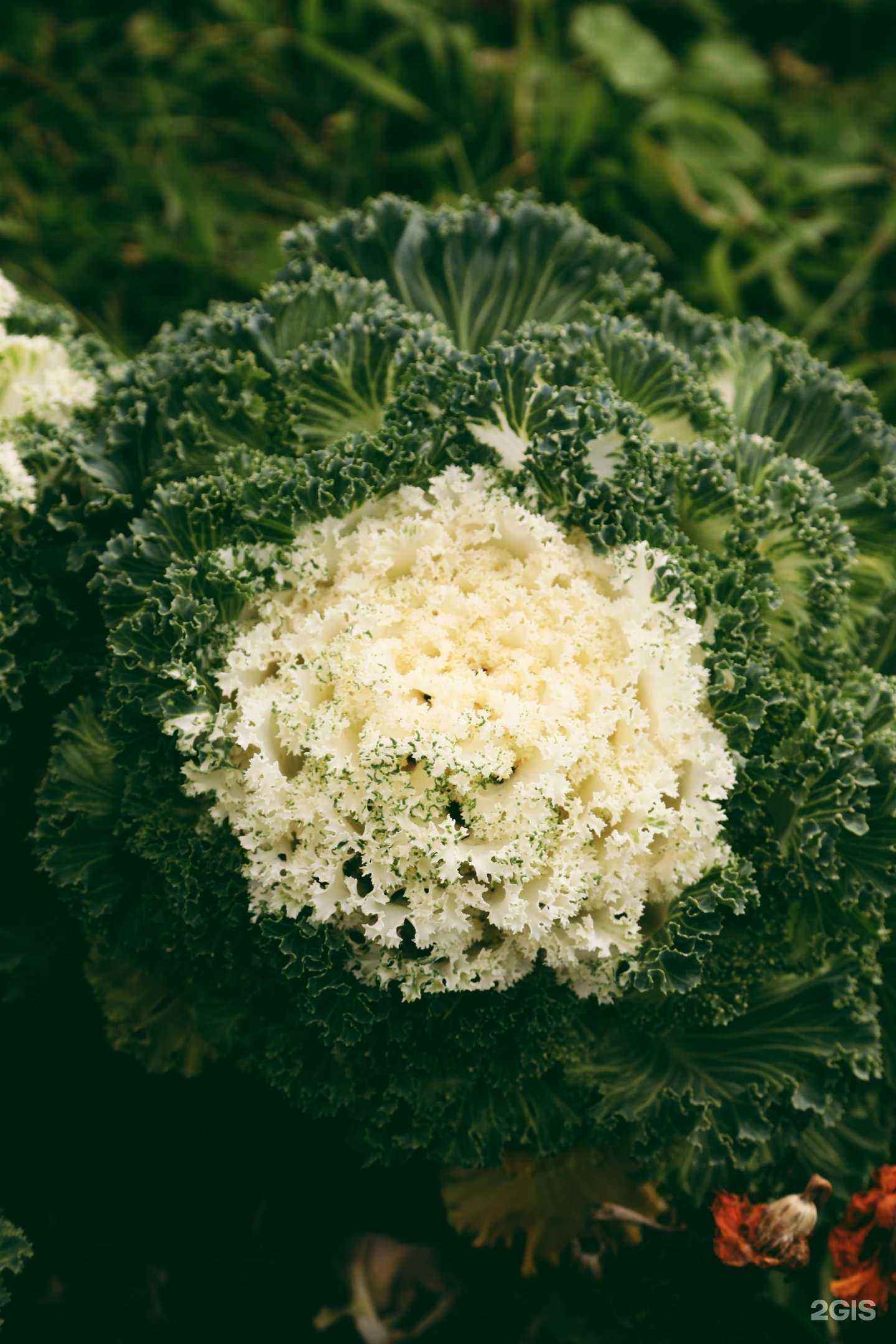 Отзывы на компанию Будет урожай в г. Уфа c фото