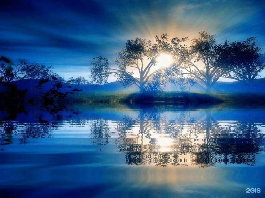 Отзывы на компанию Сказка в г. Невинномысск c фото