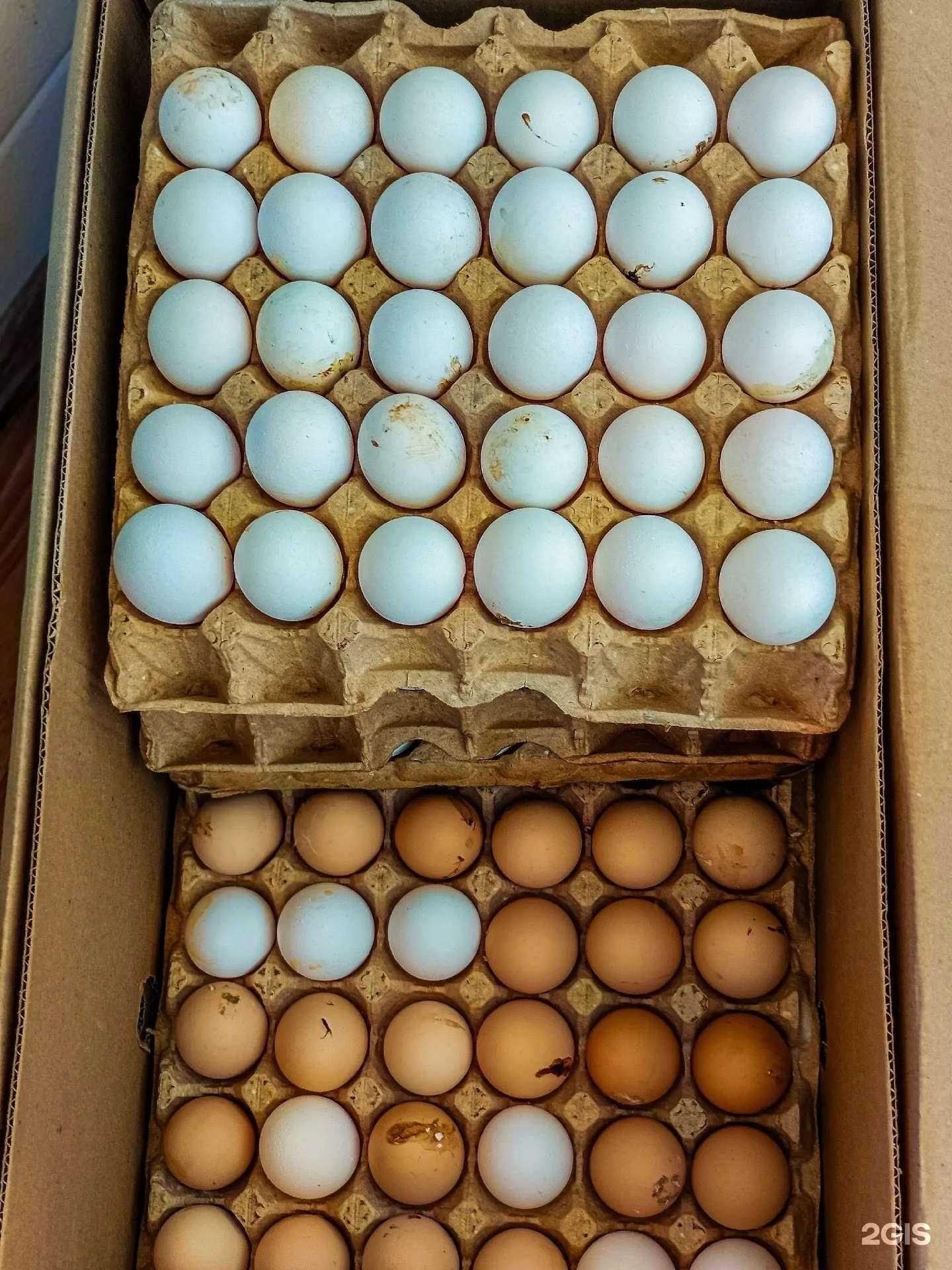 Отзывы на компанию Сельский уголок в г. Курган c фото