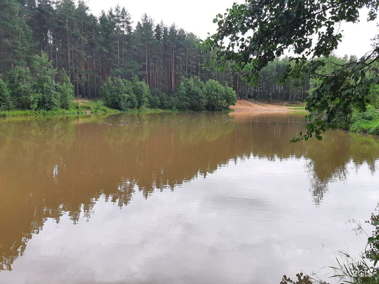 Отзывы на компанию Влада в Сертолове c фото - фотография 2 из 2