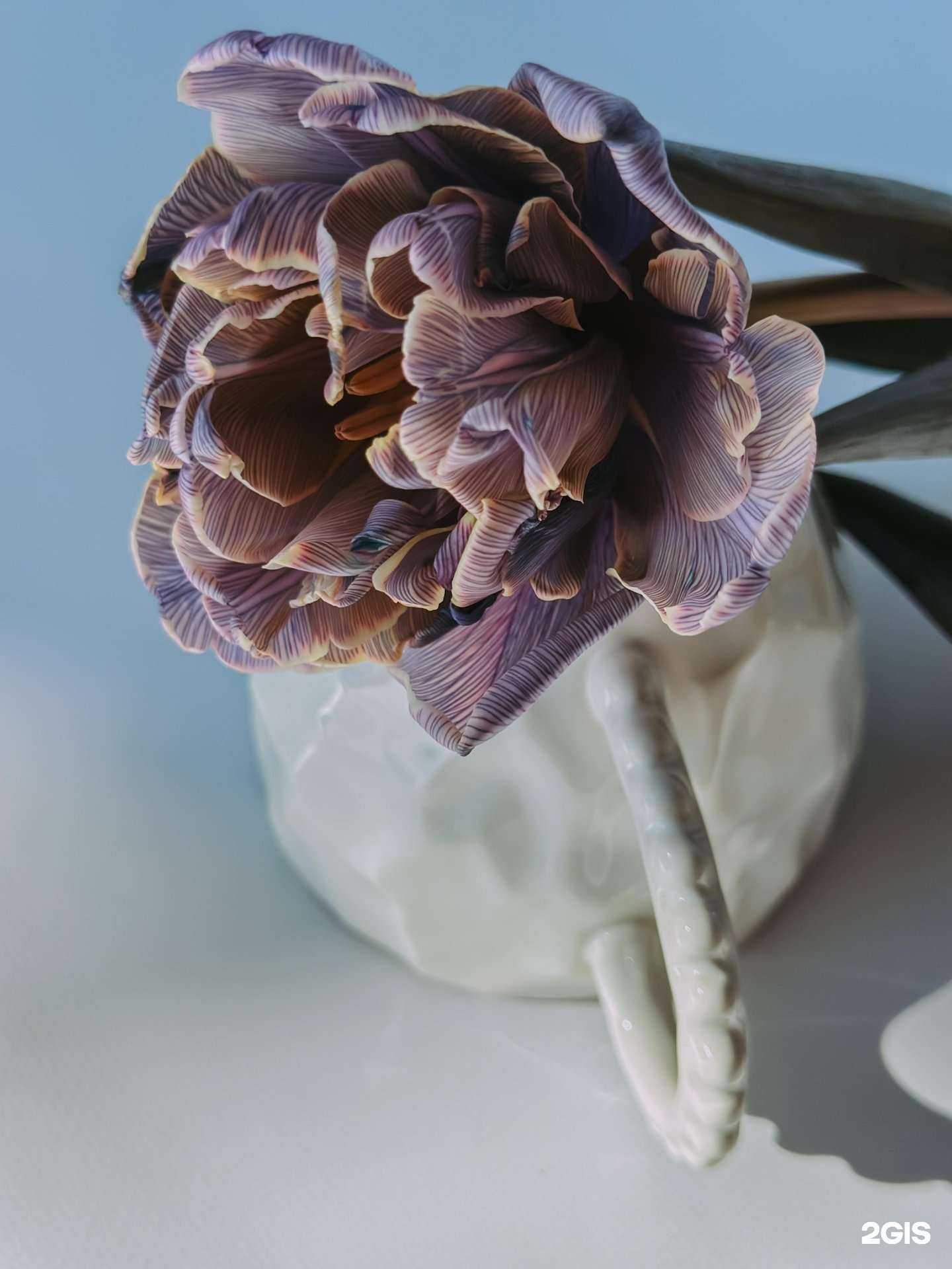 Отзывы на компанию Майский сад  в г. Бузулук c фото