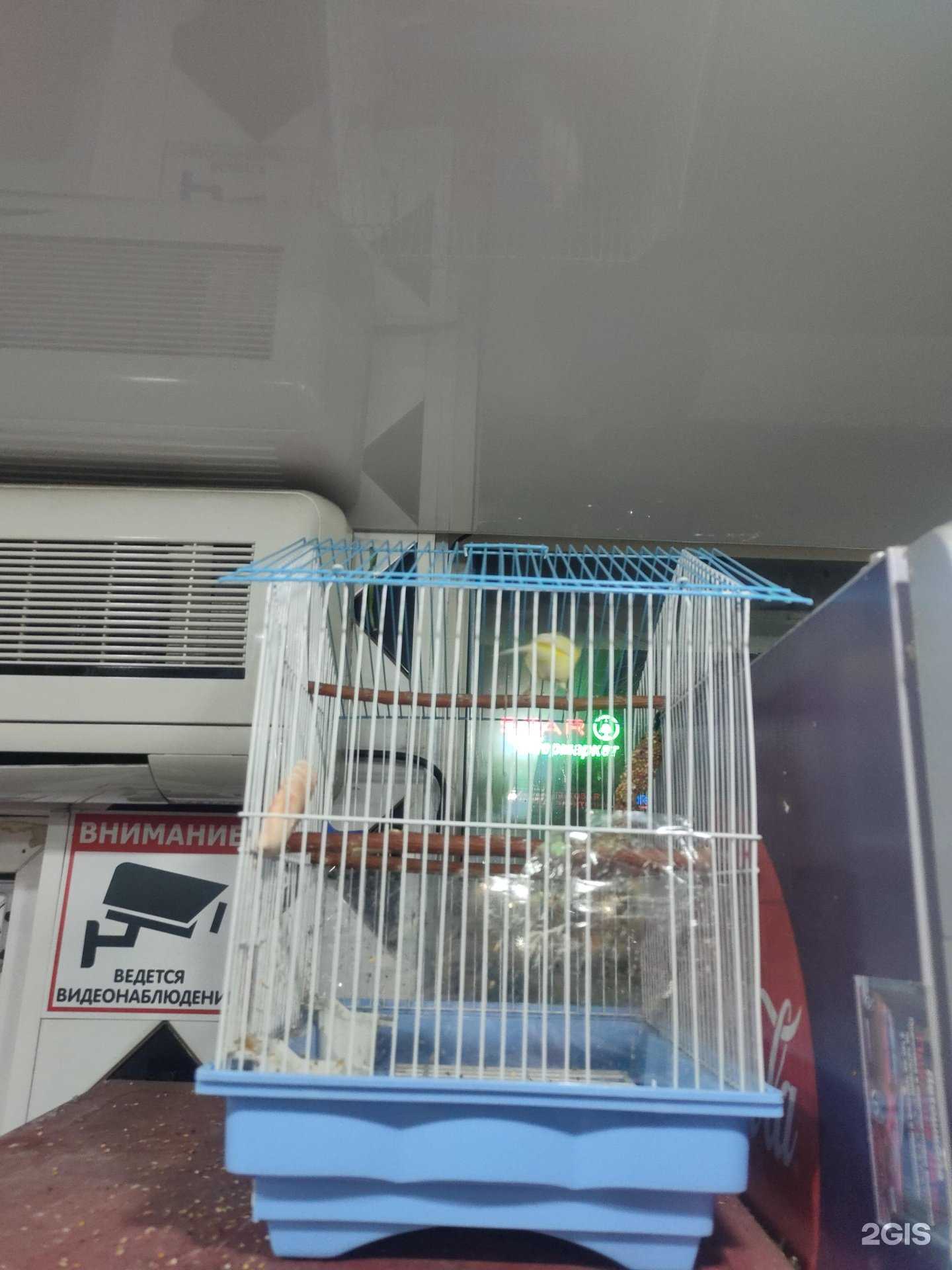 Отзывы на компанию Цветы на Ура в Магнитогорске c фото