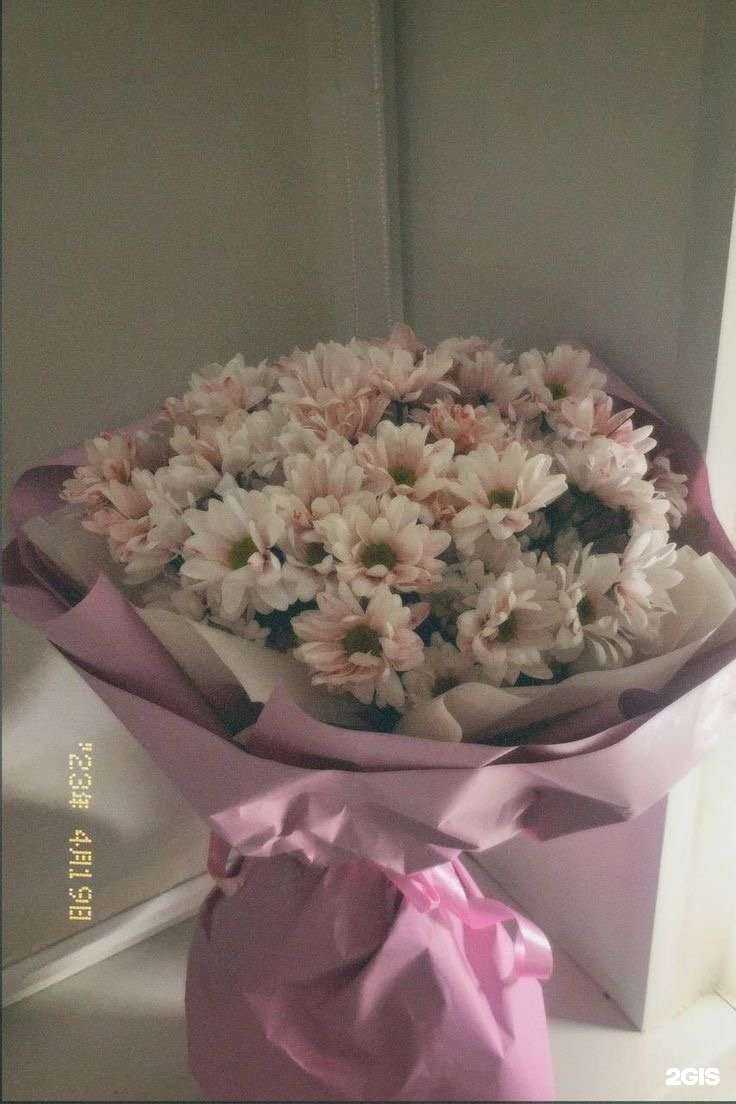 Отзывы на компанию Blumen Richter в г. Омск c фото