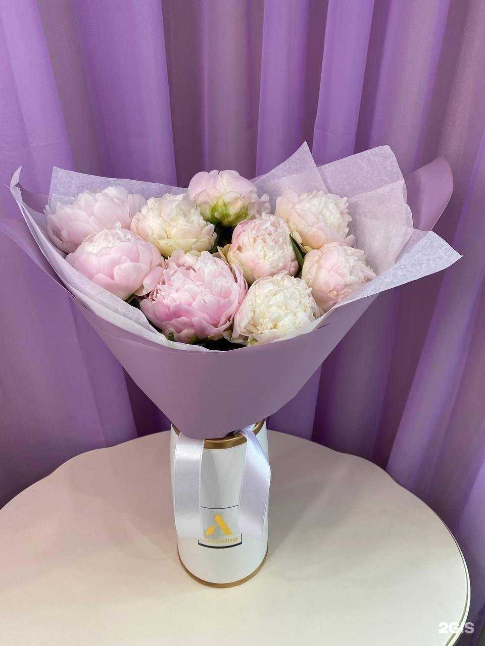 Отзывы на компанию Парижанка в Мурманске c фото