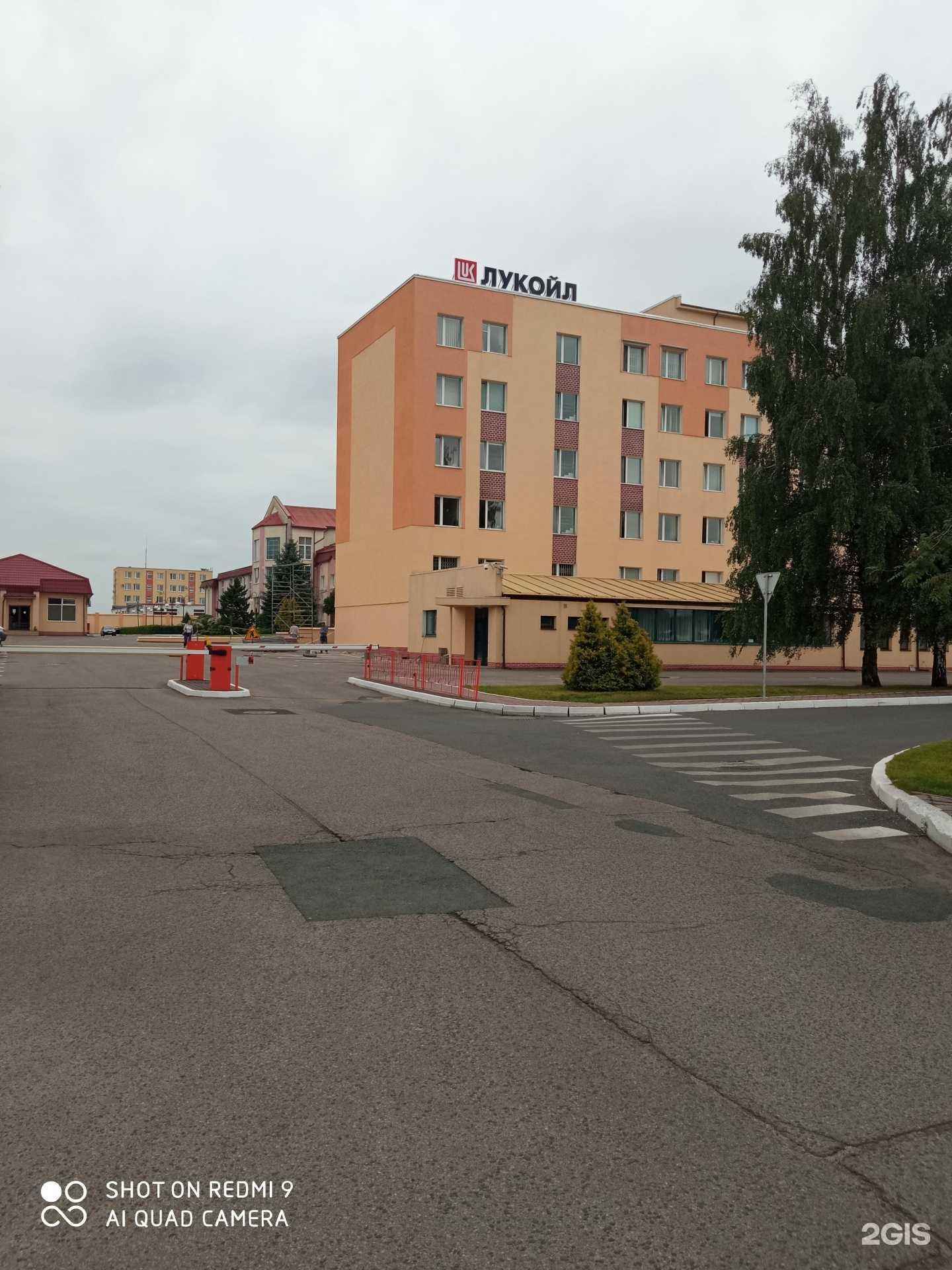 Отзывы на компанию Луком-а-северо-запад в Калининграде c фото