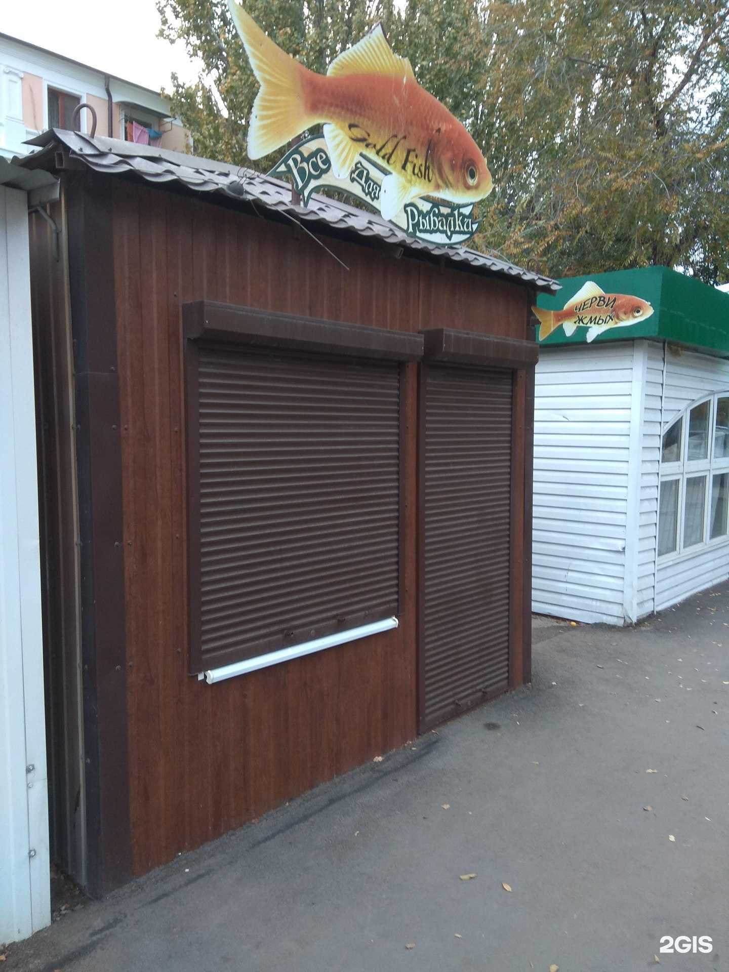 Отзывы на компанию Gold fish в Астрахани c фото