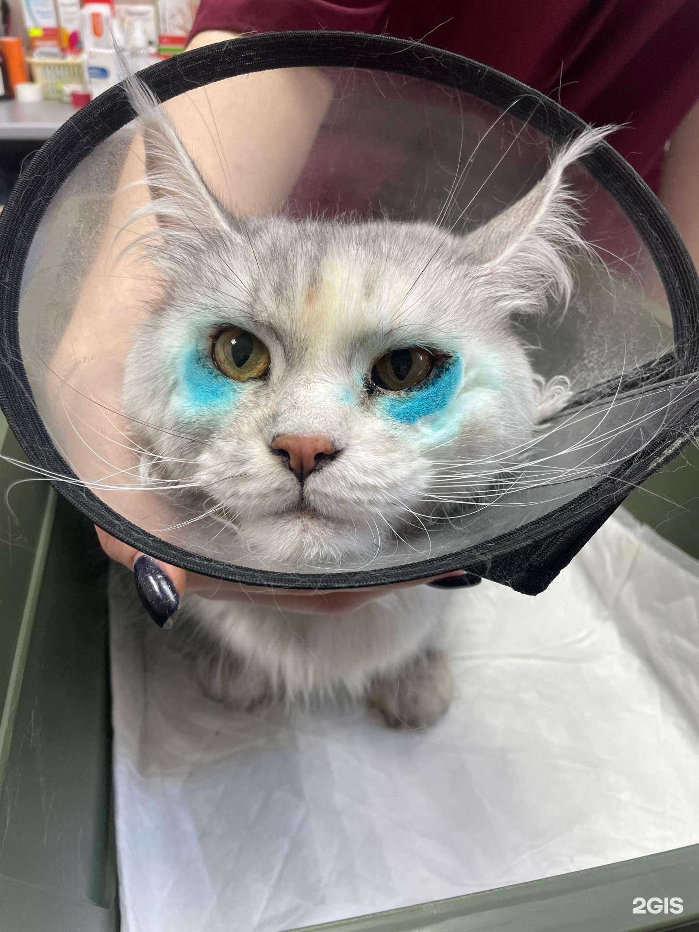 Отзывы на компанию Байкальская Легенда в г. Иркутск c фото