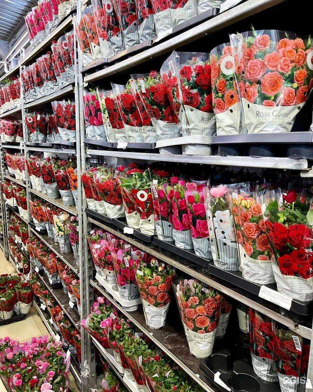 Отзывы на компанию ФлораТверь в г. Тверь c фото