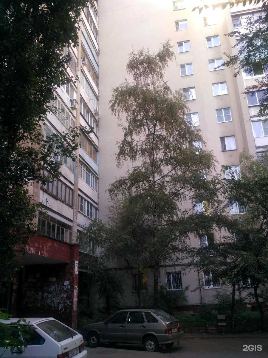 Отзывы на компанию Созвездие в Воронеже c фото - фотография 2 из 2