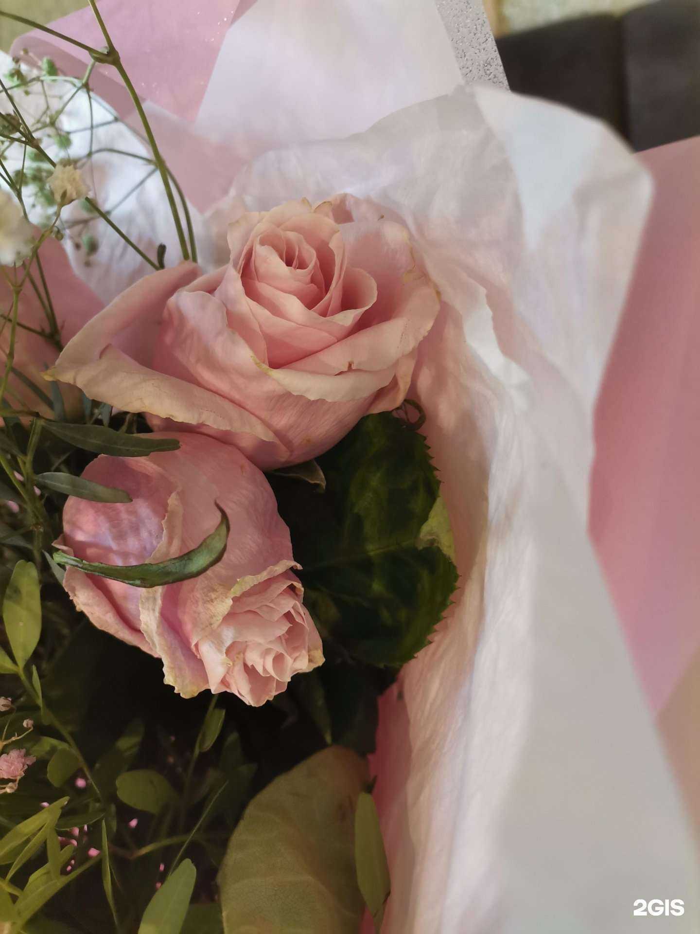 Отзывы на компанию Nflower.ru в Омске c фото