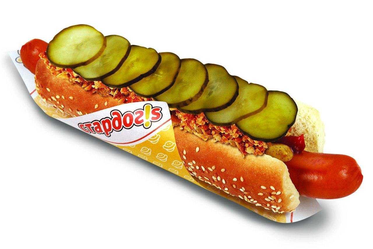 Отзывы на компанию Stardogs в Воронеже c фото