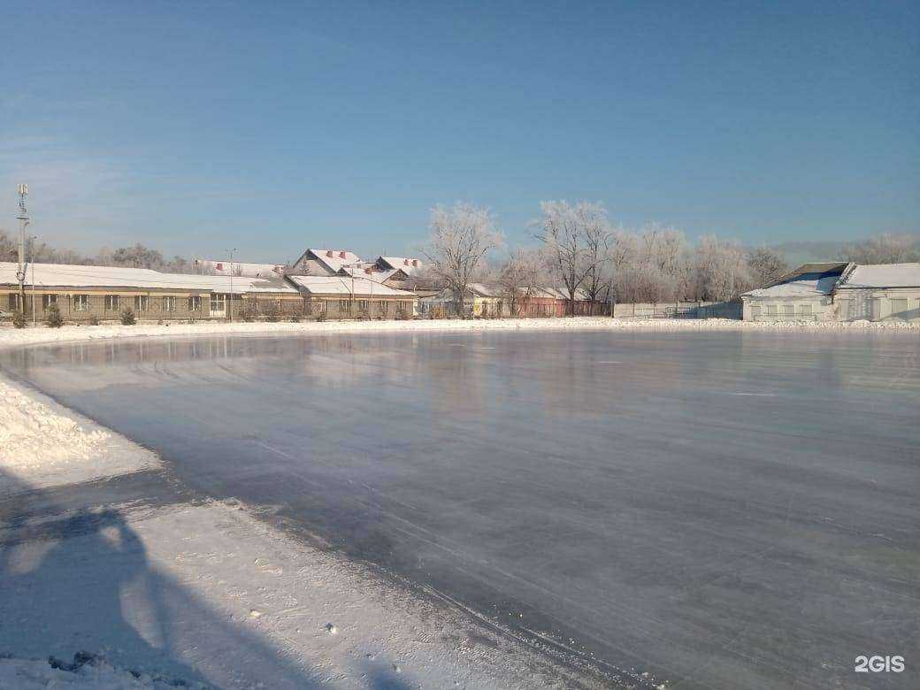 Отзывы на компанию Локомотив в Иркутске c фото