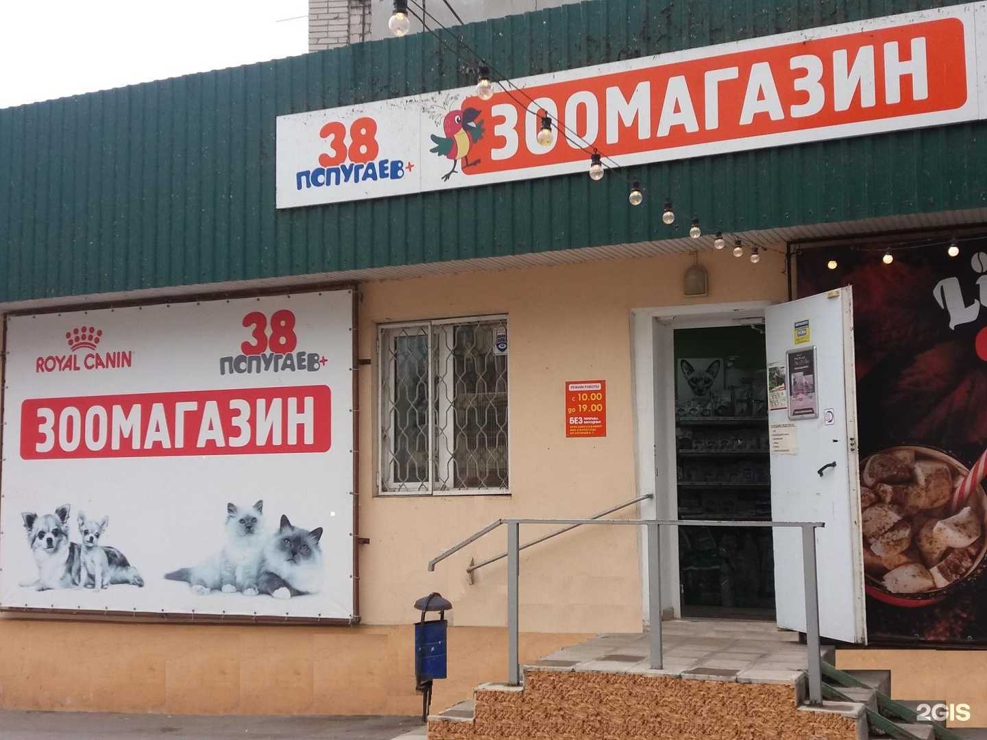 Отзывы на компанию 38 попугаев в Таганроге c фото