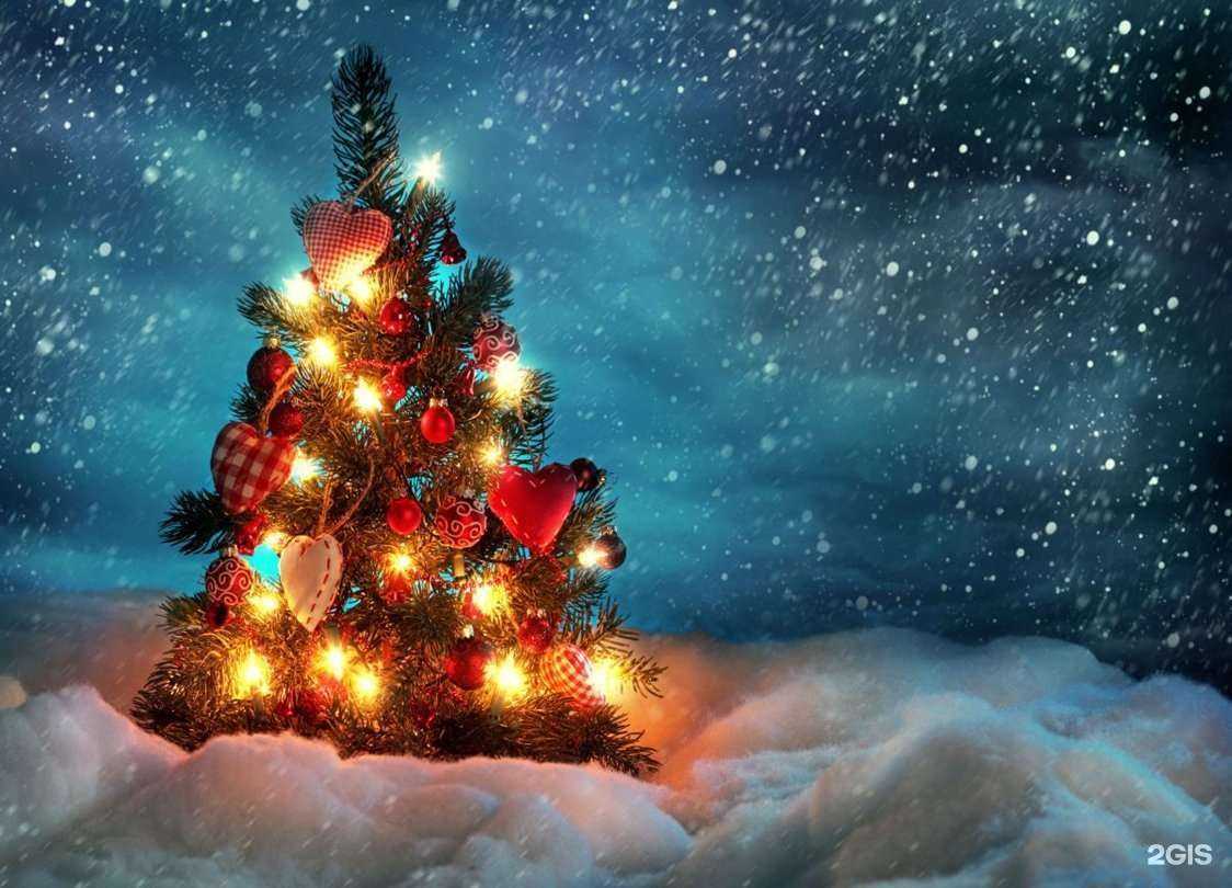 Отзывы на компанию Боровская районная станция по борьбе с болезнями животных в Боровске c фото