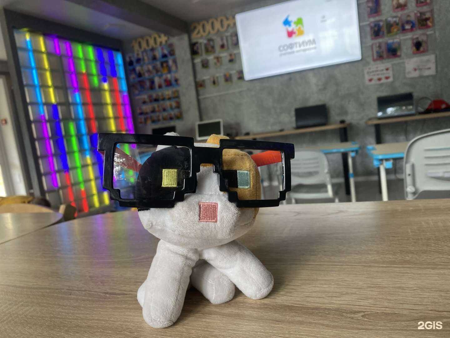 Отзывы на компанию Софтиум в г. Бийск c фото