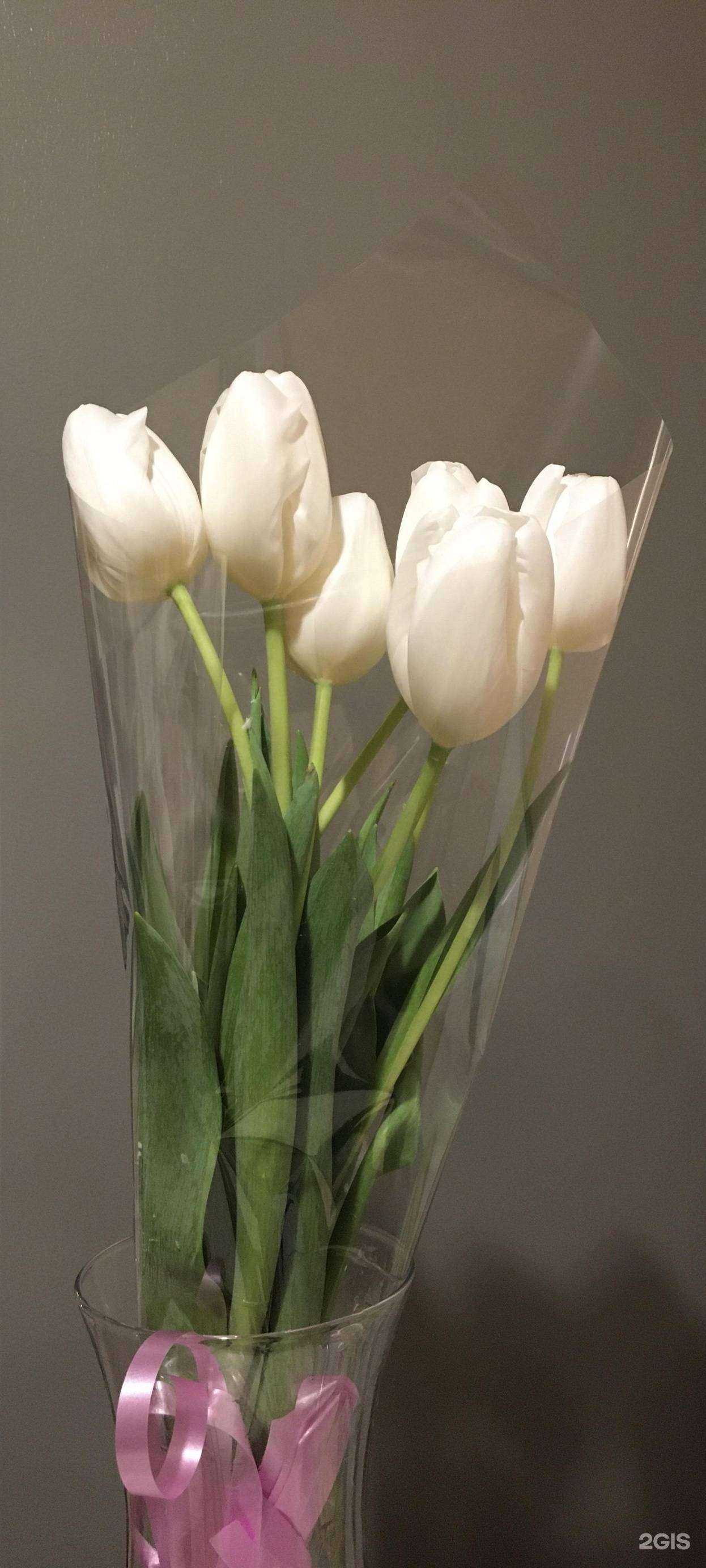 Отзывы на компанию Сибирская роза в Северске c фото