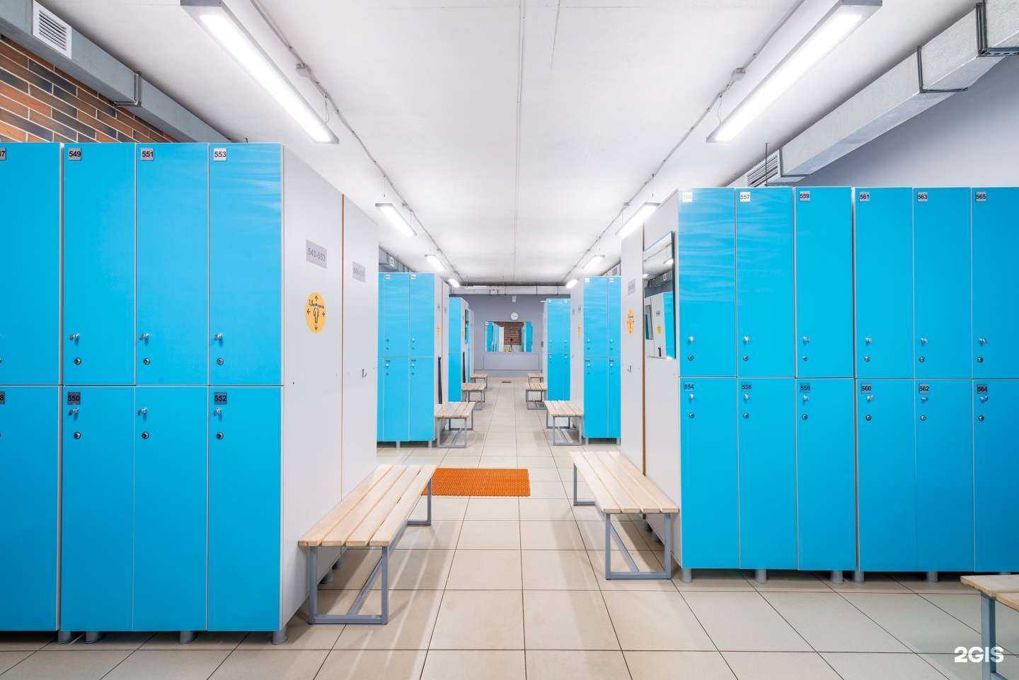 Отзывы на компанию Дом физкультурника в г. Краснодар c фото