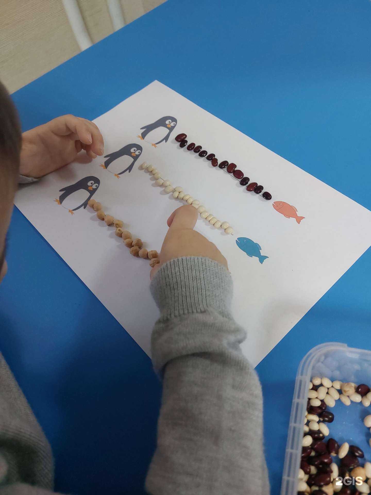 Отзывы на компанию Совушка в Красноярске c фото