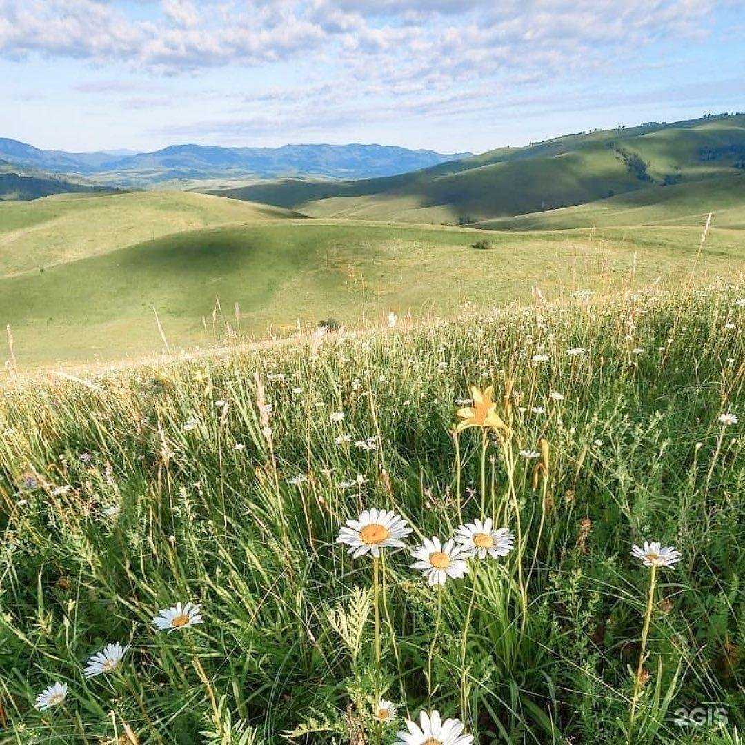 Отзывы на компанию Европорт в г. Екатеринбург c фото
