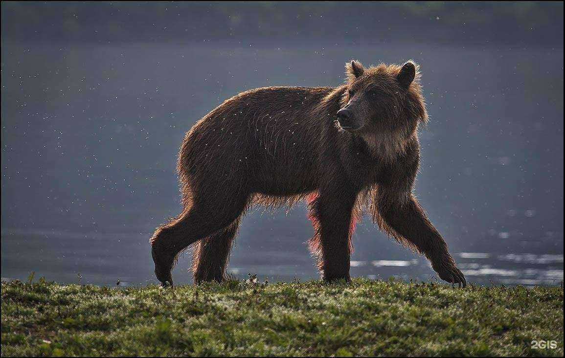 Отзывы на компанию Камчатские приключения в г. Петропавловск-Камчатский c фото