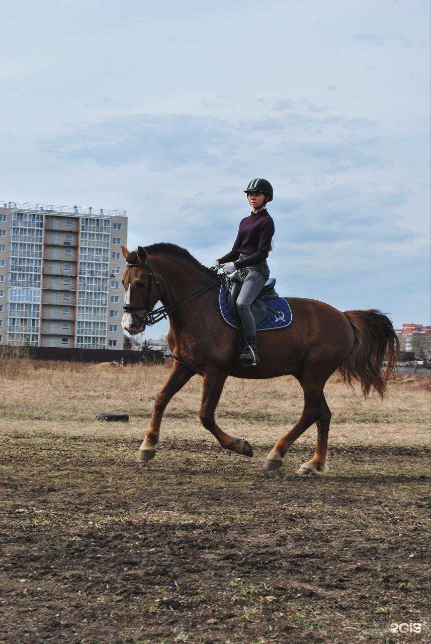 Отзывы на компанию Феникс в г. Иркутск c фото