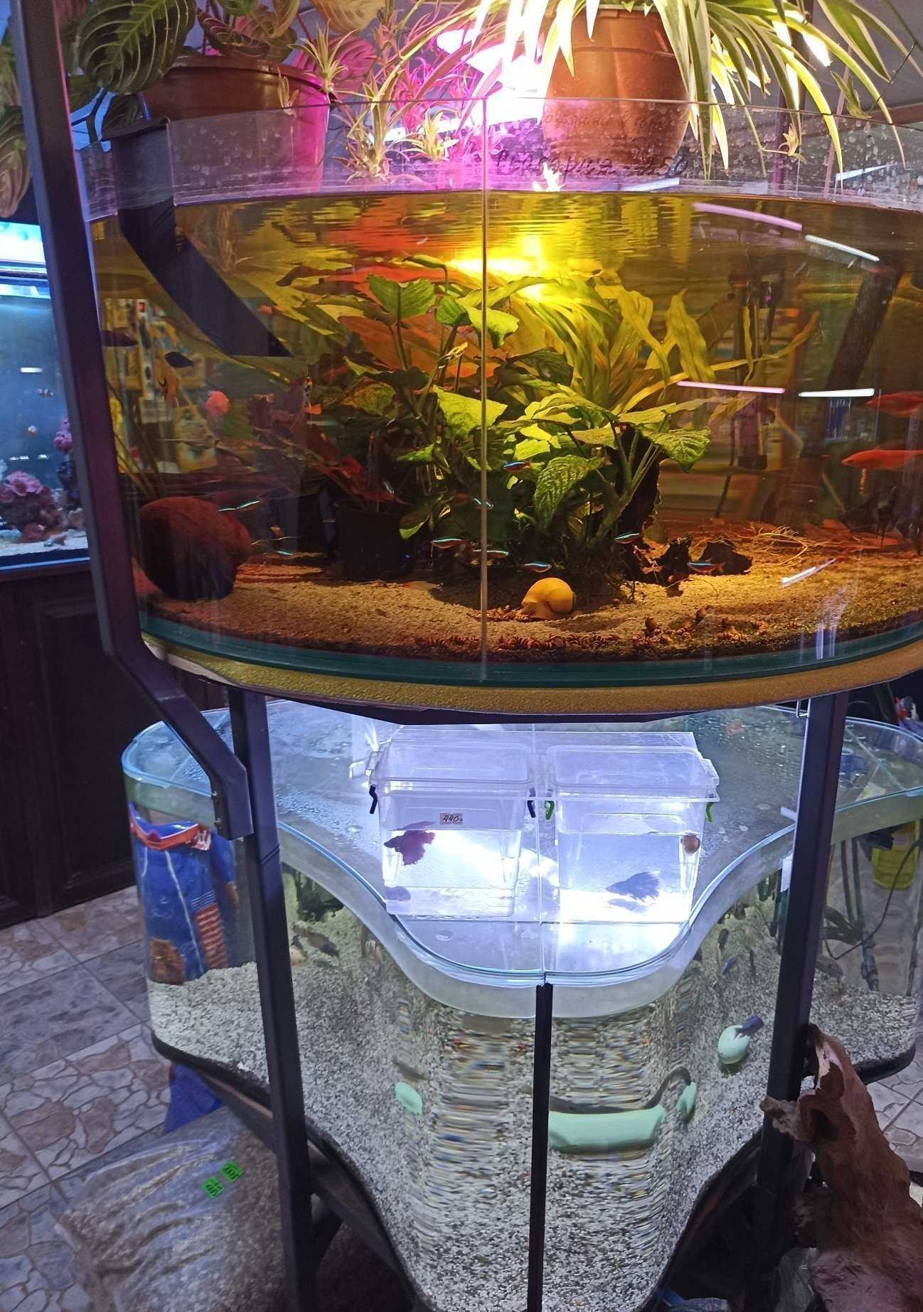 Отзывы на компанию Лагуна в Кисловодске c фото