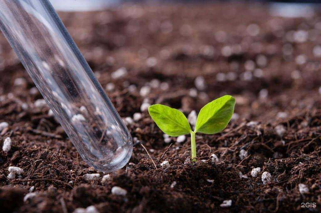 Отзывы на компанию Гарант оптима в г. Краснодар c фото