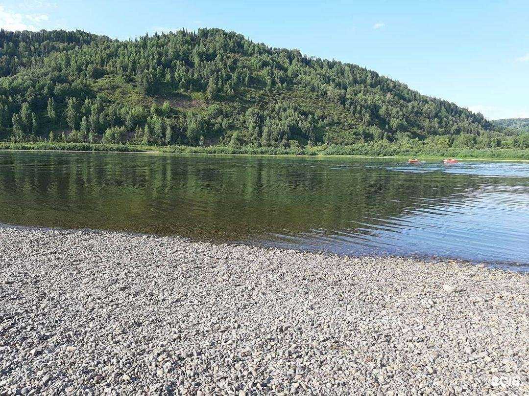 Отзывы на компанию Сириус в Кемерове c фото