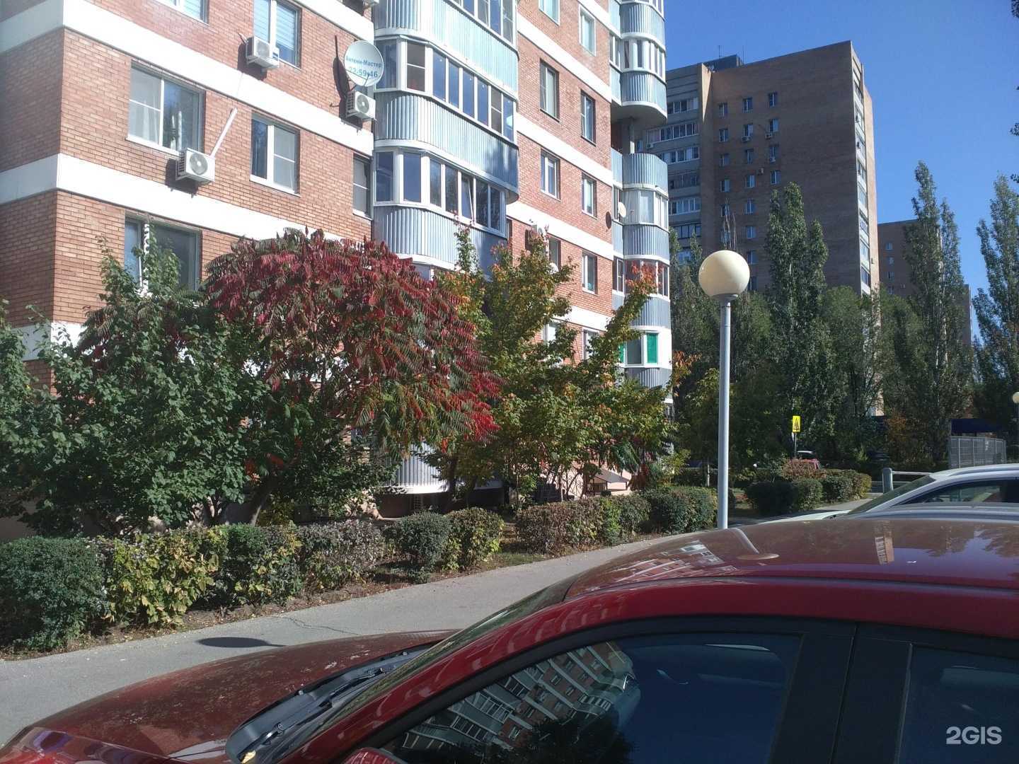 Отзывы на компанию Testo в Тольятти c фото